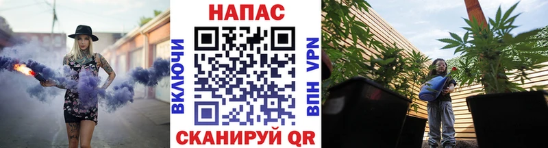 Бошки марихуана MAZAR  Купить где  Алатырь 